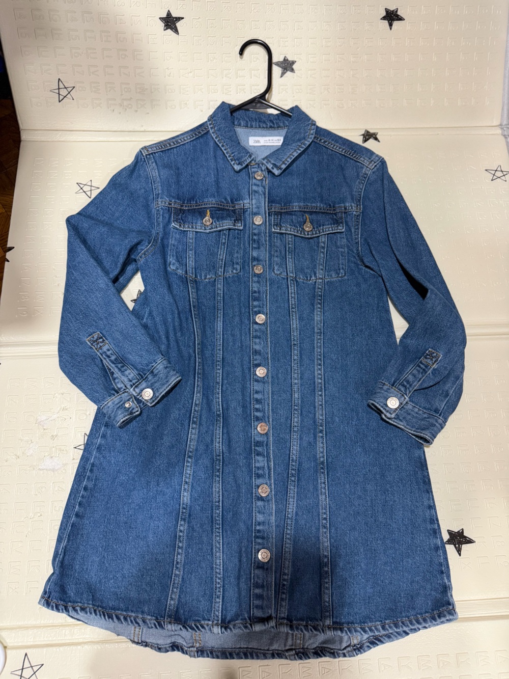 Zara Blue Denim Button-Front Women's Jean Dress